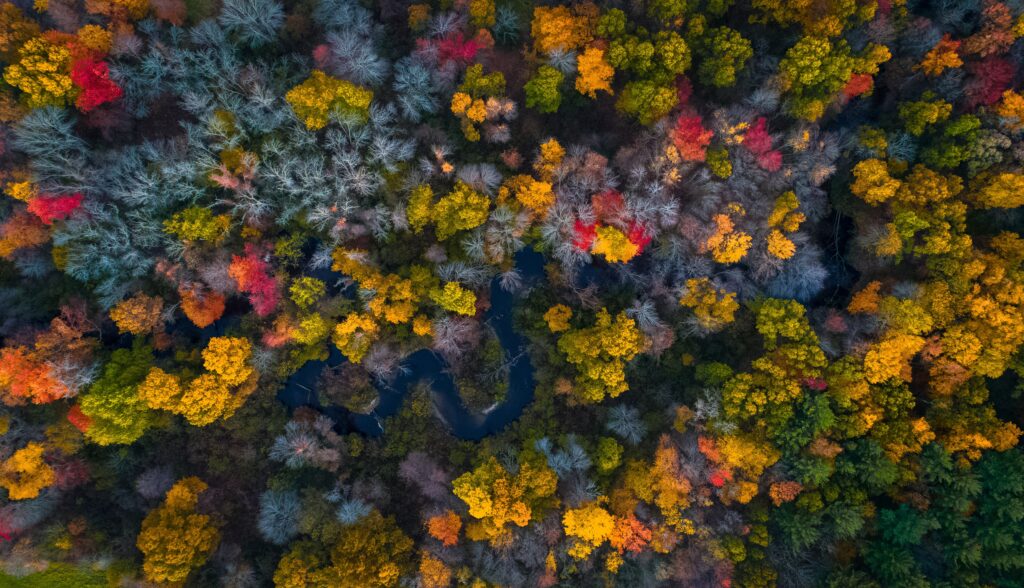 best places to see fall colors Massachusetts 
