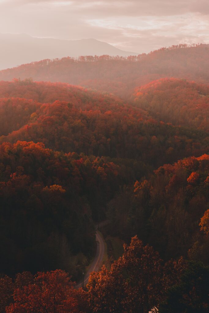 best places to see fall colors Tennessee