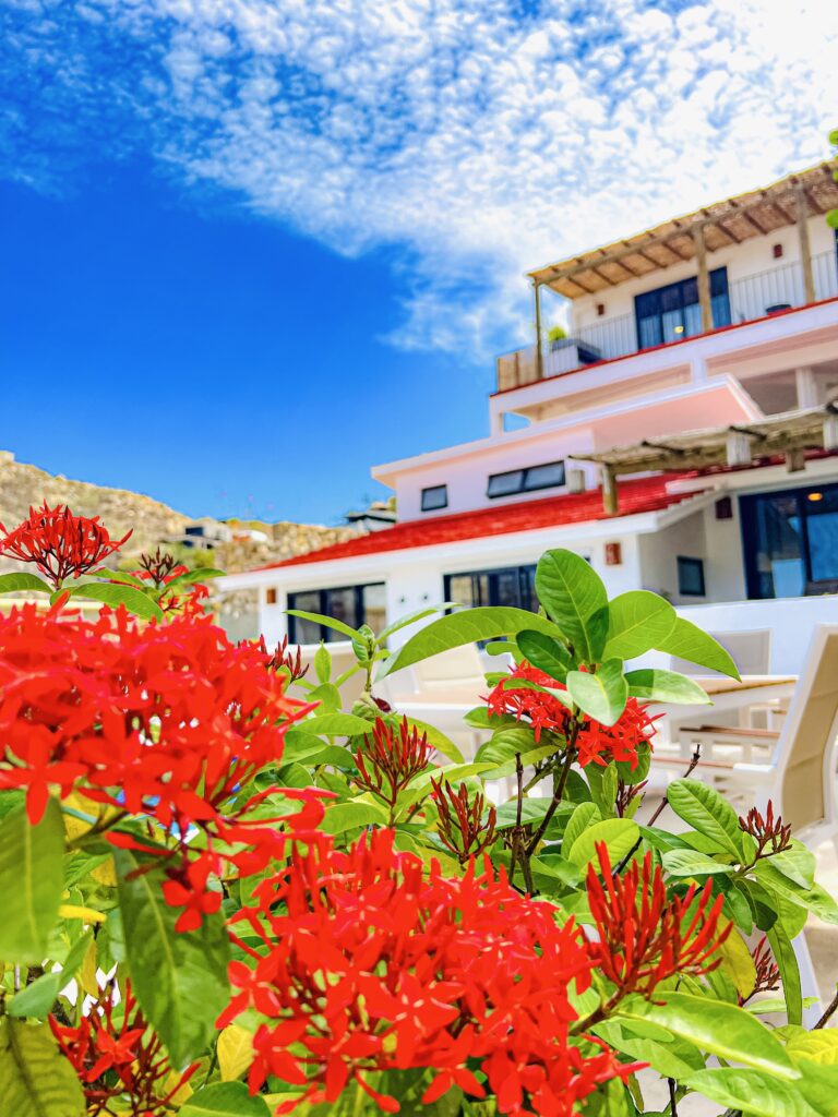 the best los Cabos family vacation villa, Cabo villas Isabel